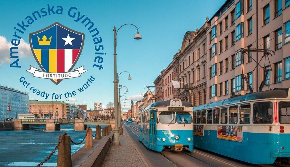 An image uploaded to Strapi